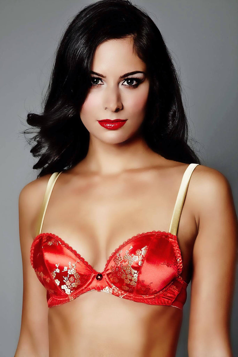 Rubies of the Orient Plunge Bra (GOLD Collection), Bras - Miss Photogenic